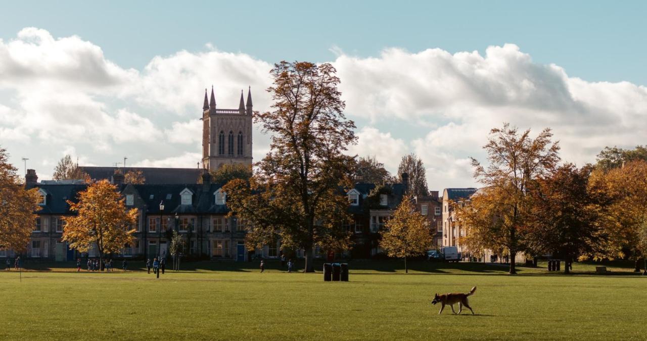 Stunning 1Br - Super Central- Peaceful Area - Lower Ground Apartment Cambridge  Esterno foto